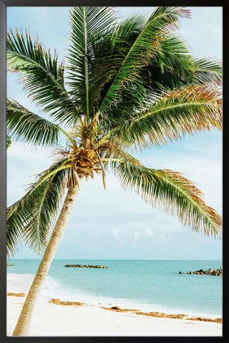 Framed Beautiful beach with huge palm tree poster
