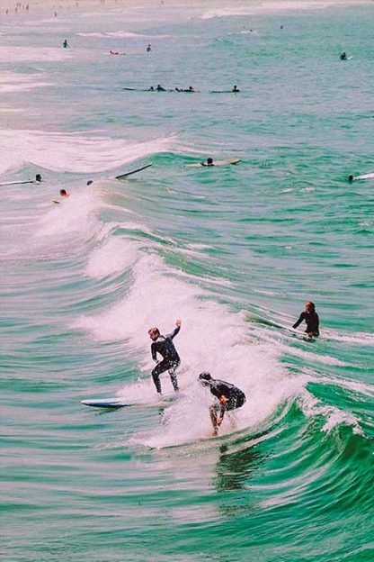Surfing fun poster