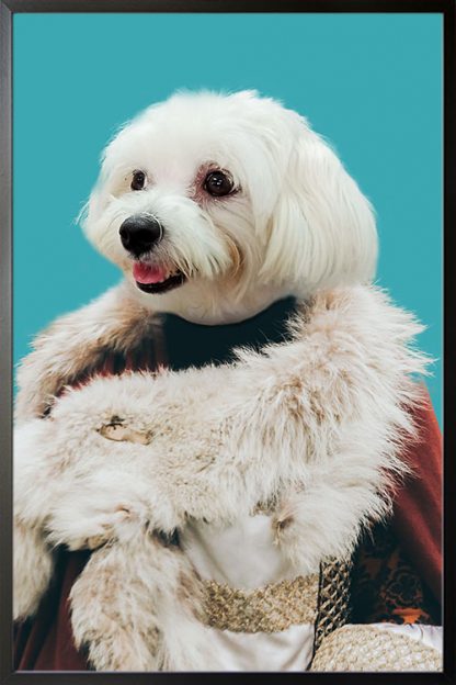 My pet in fur coat poster