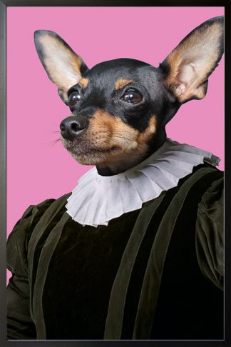 My pet in renaissance clothes Poster