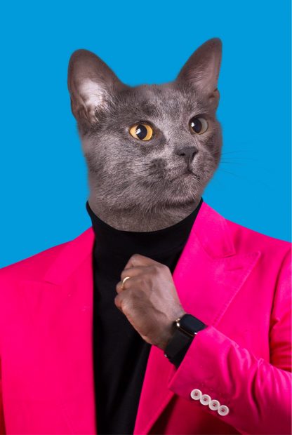 My pet in hot pink suit in Interior Poster