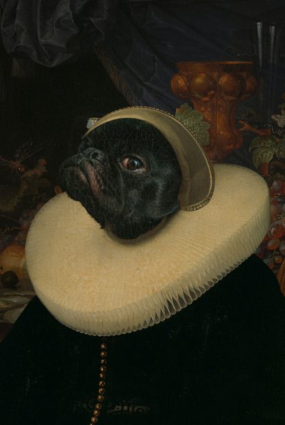 My pet in renaissance clothes no. 2 poster