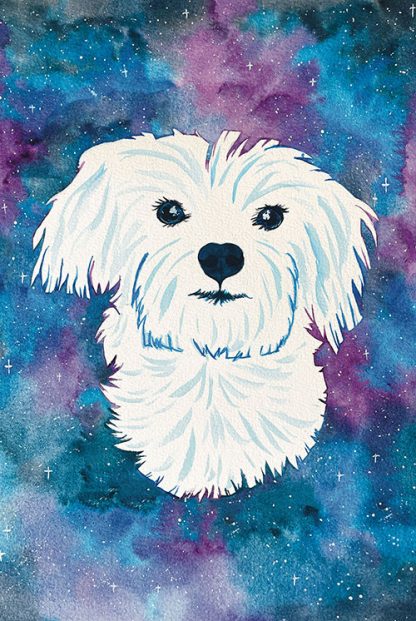 Galaxy Maltese Poster by Local Artist Siara Gogh