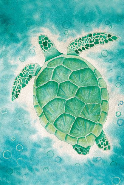 Turtle Poster by Local Artist Siara Gogh