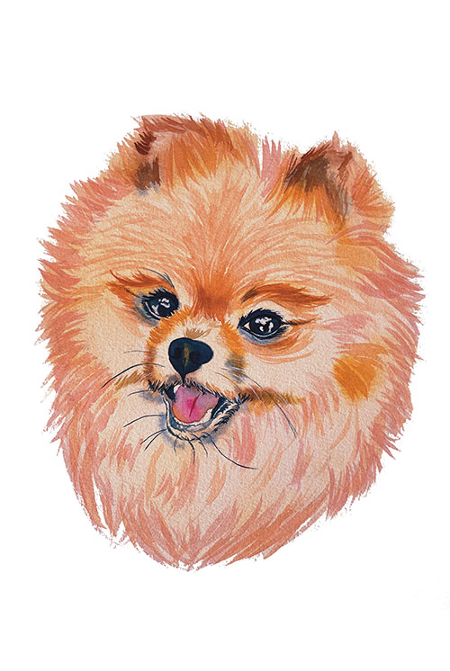 Stylized Pom Poster by Siara Gogh