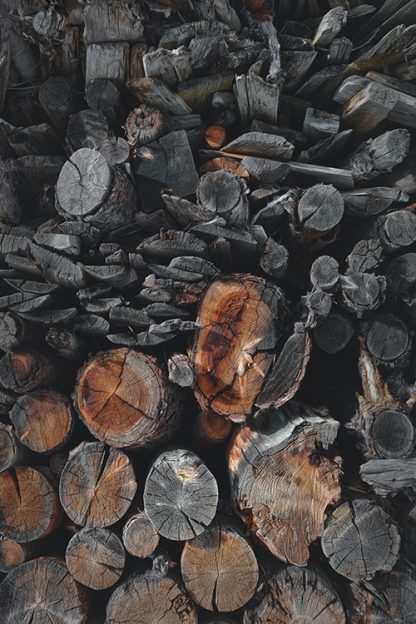 Wood Coal Poster