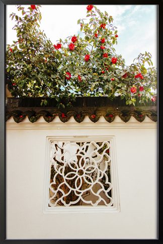 Red Camelia Garden Poster in Black Frame