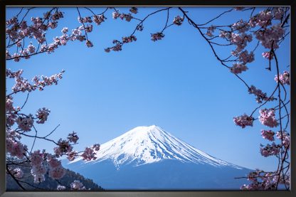 Oishi Park Mount Fuji Japan Poster in Black Frame