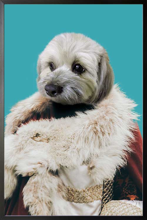 My Pet In Fur Coat Poster for Christian Labrador