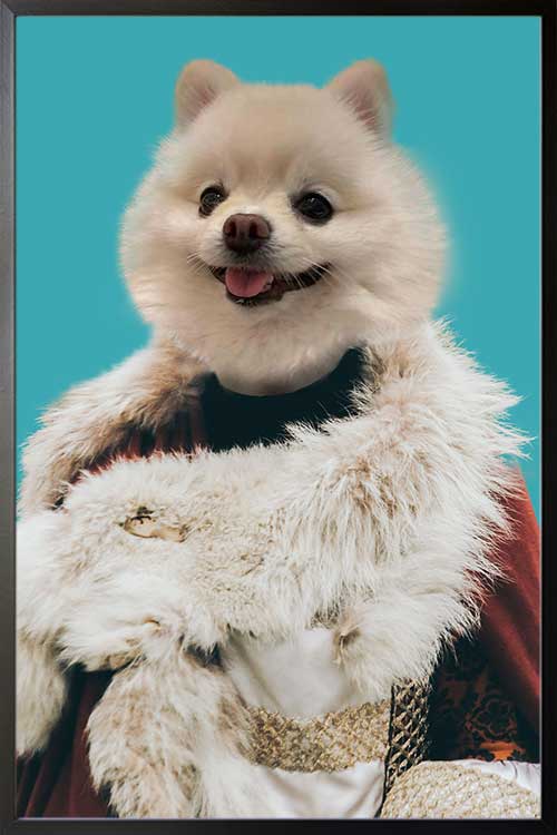 My Pet In Fur Coat Poster for Gina Lim