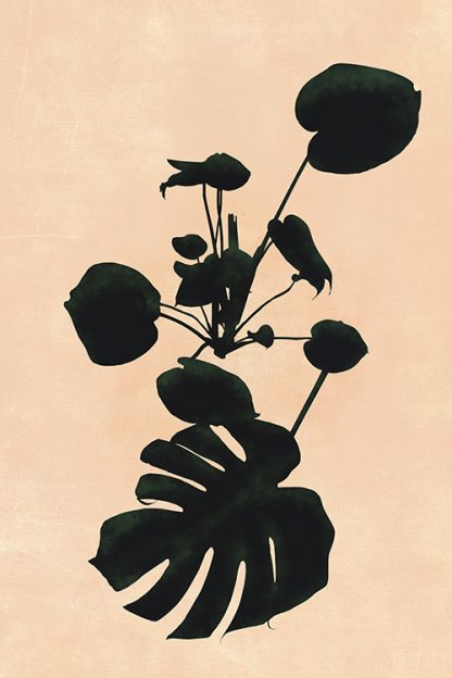 Botanical Monstera Poster