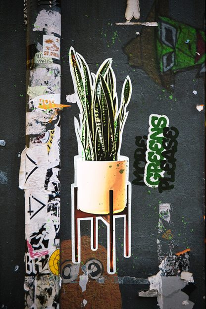 Artistic Graffiti Plants Poster