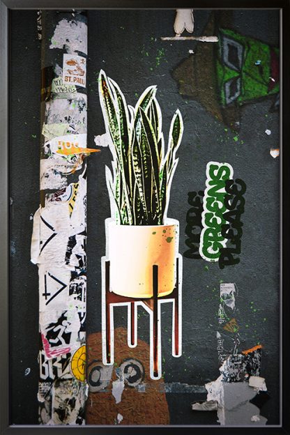 Artistic Graffiti Plants Poster in Black Frame