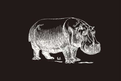 Hippo Sketch in Black Background Poster