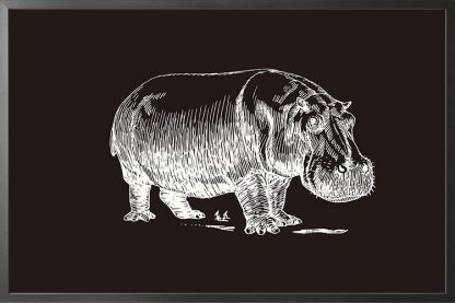 Hippo Sketch in Black Background Poster