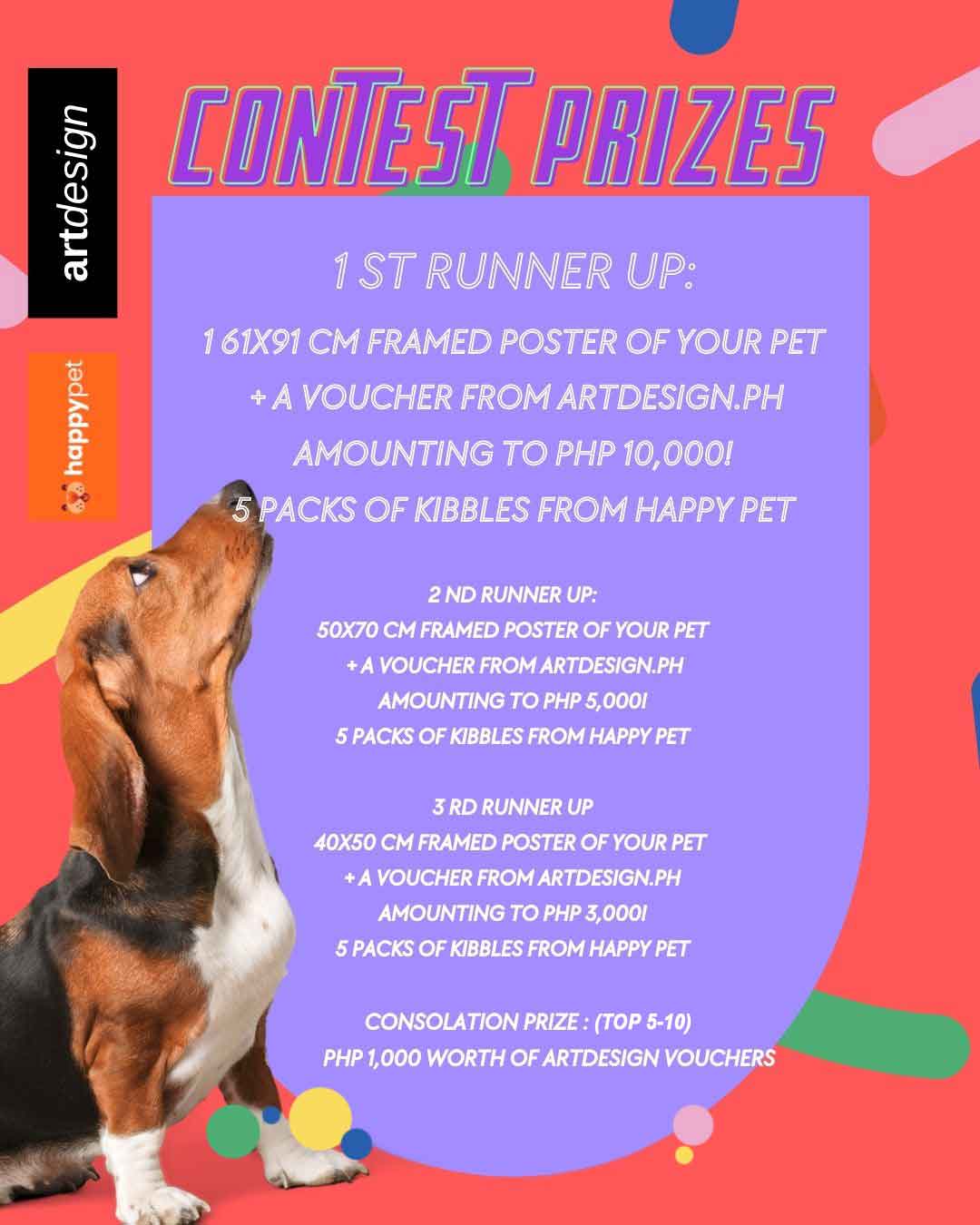 Contest prizes