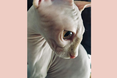 Pet photo competition finalist by Catherine Muguerza