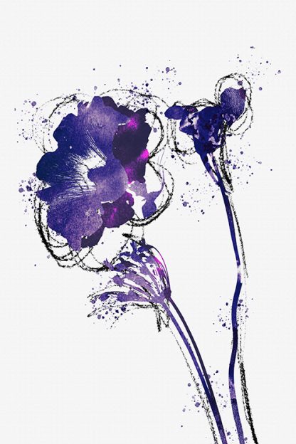 Floral Purple Hibicus Poster