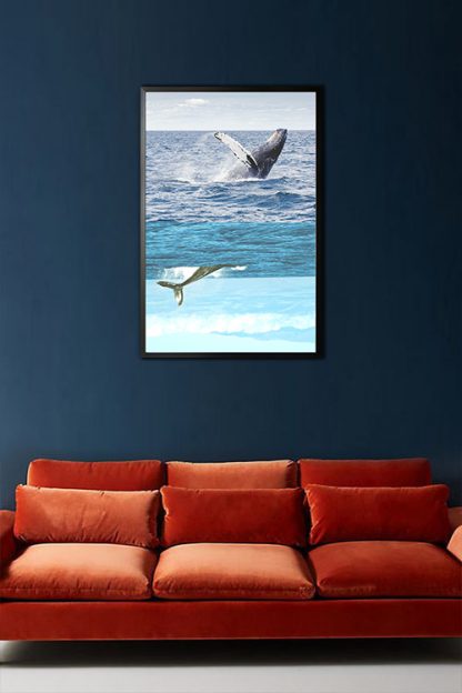 Killer Whale poster in interior