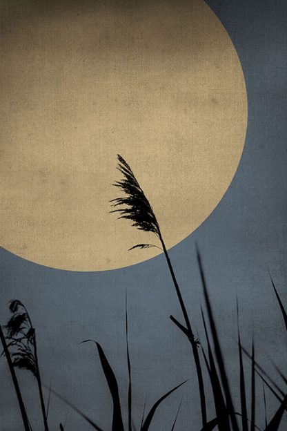 Gold moon at midnight No 2 poster