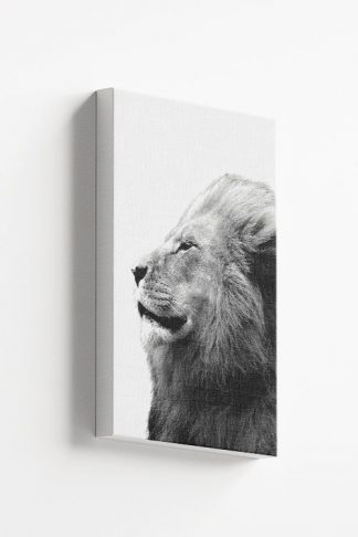 Side view Lion Canvas
