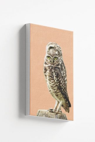 Twinning owl Canvas