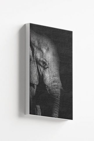 Elephant side view Canvas