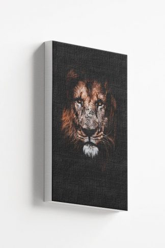 Lion in dark Canvas