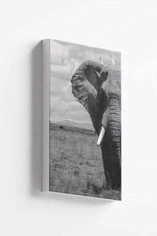 Elephant half Canvas