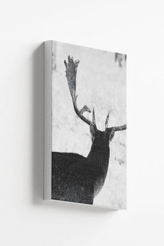 Deer back Canvas