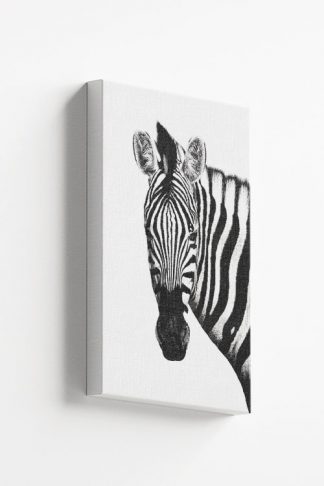 Zebra front face Canvas