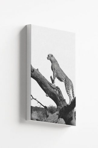 Leopard on tree Canvas