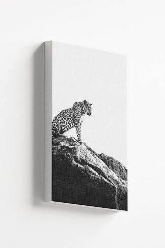 Leopard on rock Canvas