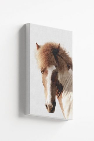 Horse in greyish background Canvas