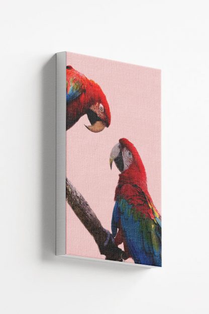 Parrot eye to eye Canvas