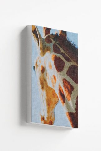 Giraffe Back side view Canvas