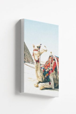 Travel Camel Canvas
