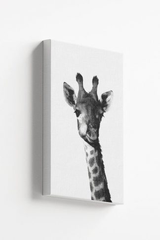 Chewing Giraffe Canvas