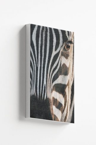 Zebra facial view Canvas