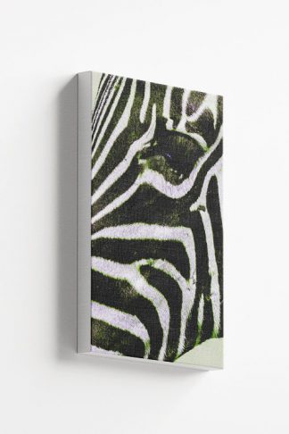 Zebra side facial view Canvas