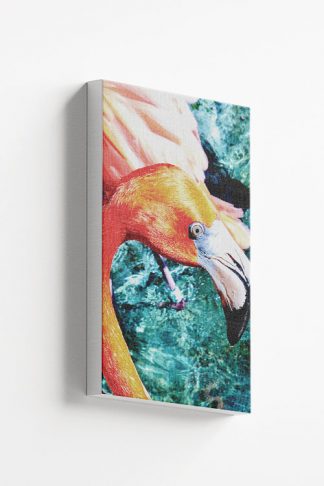 Flamingo in turquoise tone water Canvas