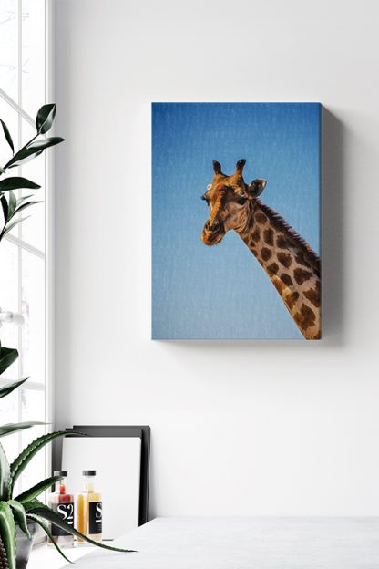 Typical giraffe Canvas in Interior