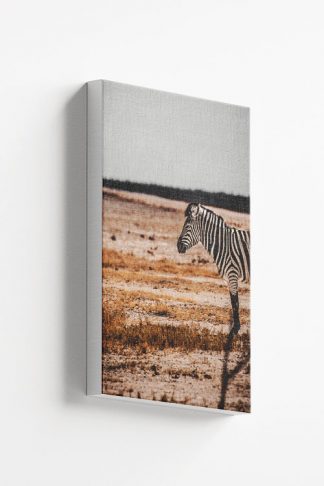 Half body zebra Canvas