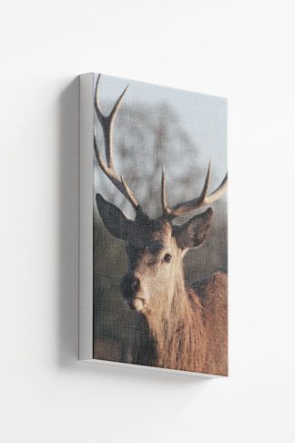 Deer dramatic side view Canvas