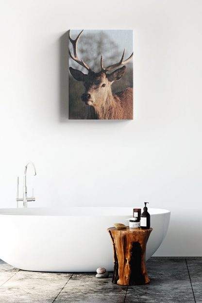 Deer dramatic side view Canvas in Interior