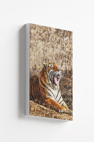 Yawning Tiger Canvas