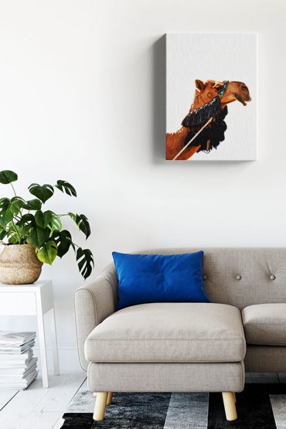 Camel side view face in white background Canvas in Interior