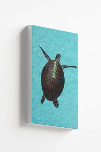 Turtle ball Canvas