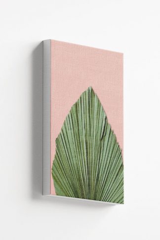Dry palm leave on pink background canvas