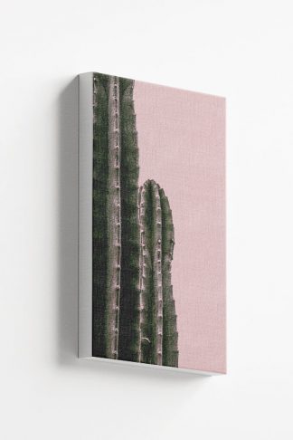 Cactus on pink background canvas
